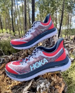 482018629-1089585926308856-5468080344678357710-n