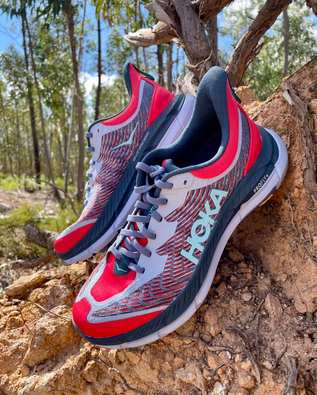 482032209-1090758719524910-1078563675826360151-n